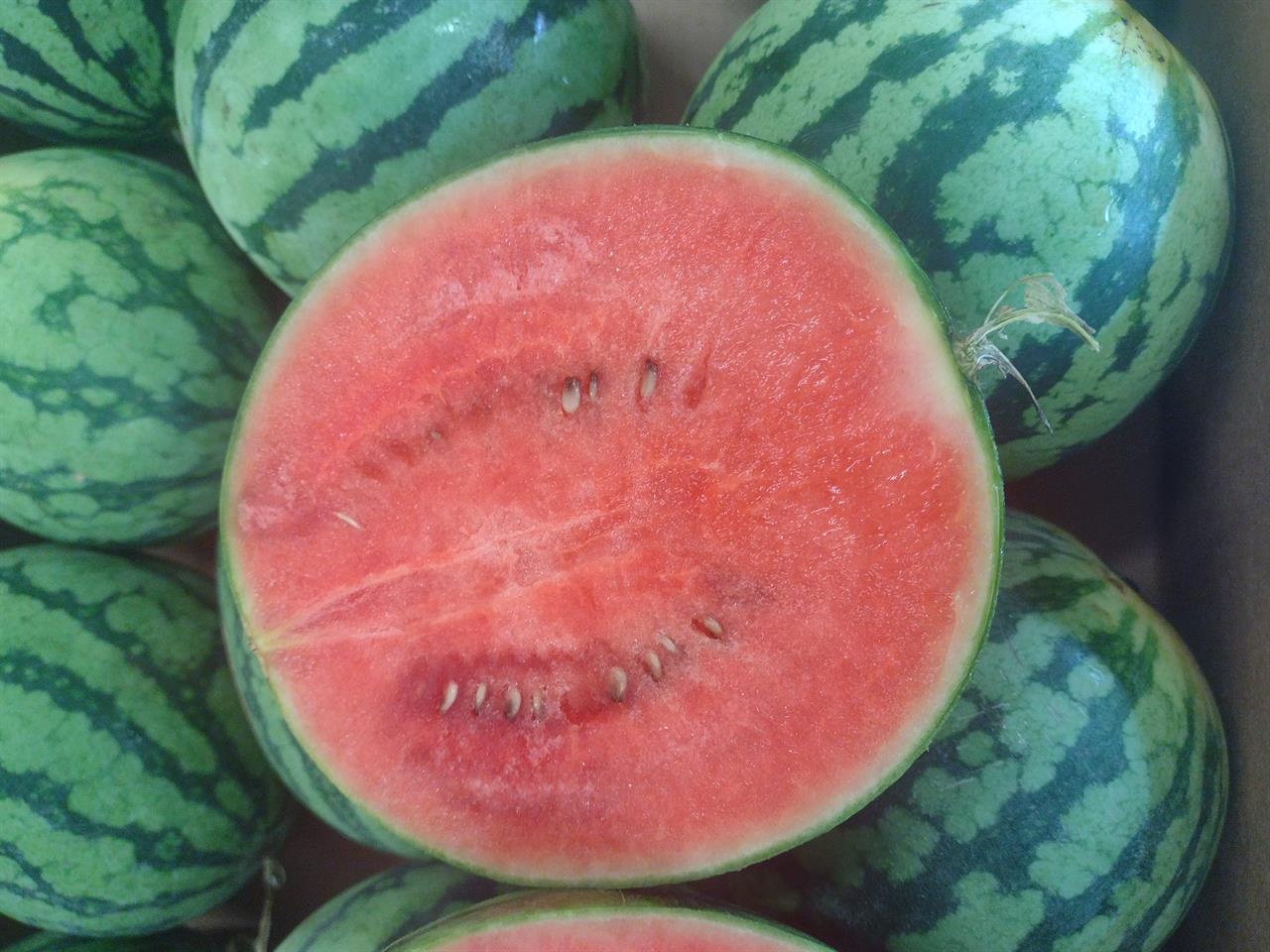 BIO-Mini-Wassermelone, 1 Stck. ca. 1,1kg.
