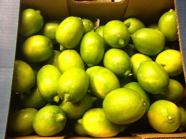 1kg. BIO-Zitronen, Sorte Interdonato, Sizilien