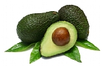 1 Israel Avocado Sorte Ettinger
