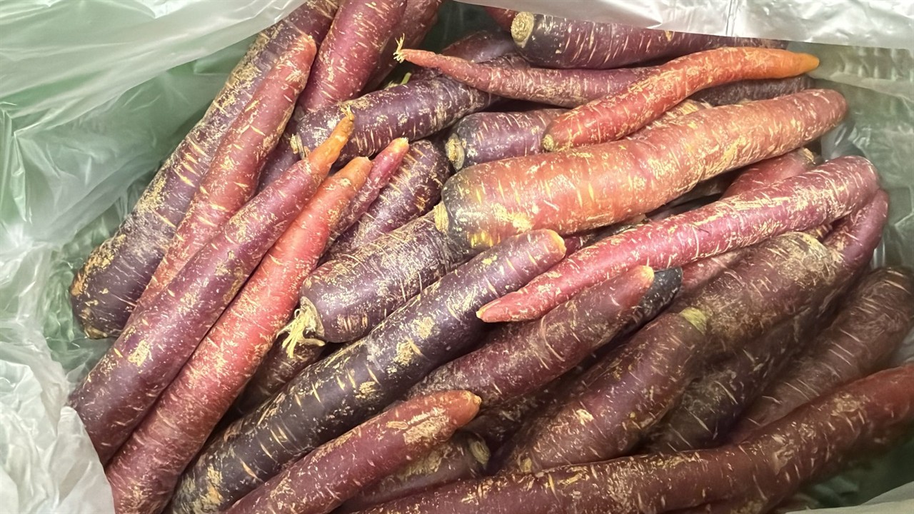 1kg. BIO-Karotten, Violett, Region