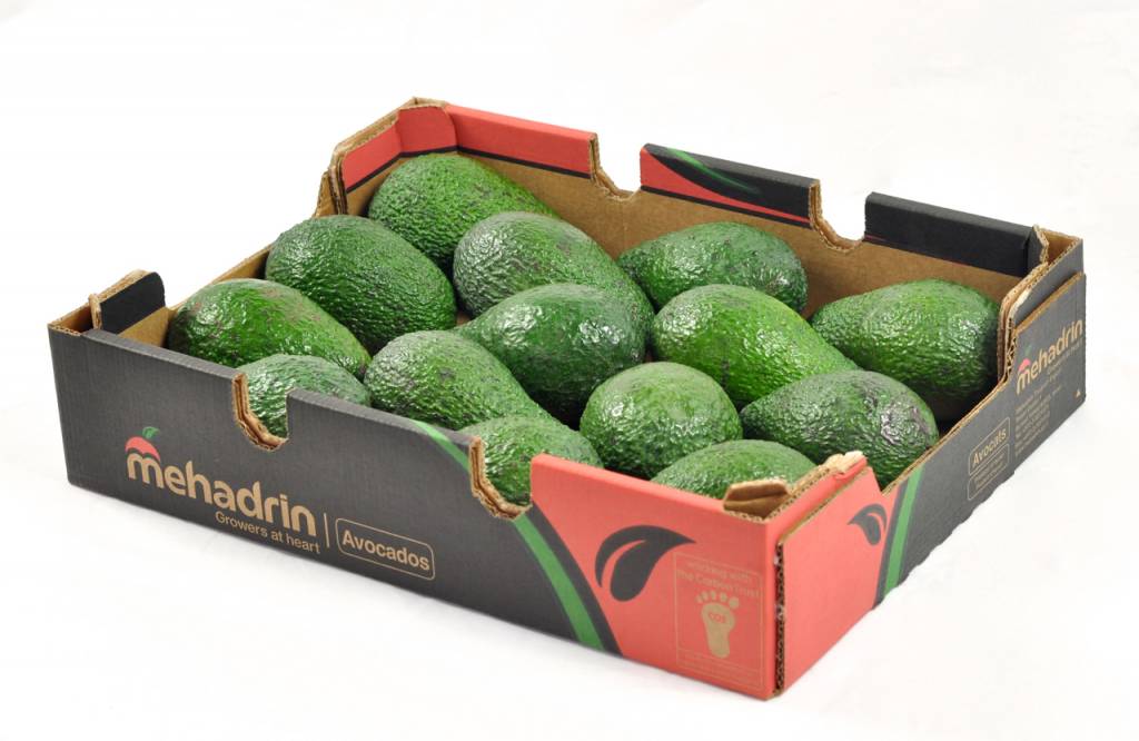 1 Israel Avocado, Sorte Hass