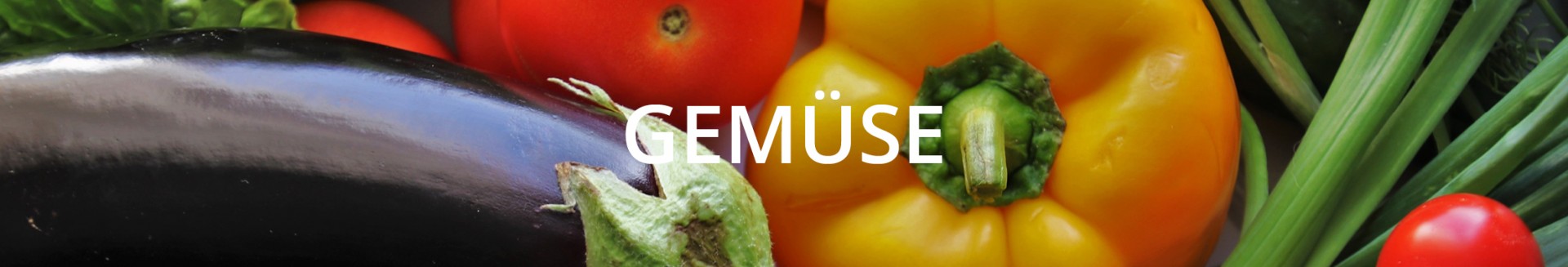Gemüse-Welt mit frischem saisonalem Gemüse, BIO-Gemüse und mediterranen Spezialitäten