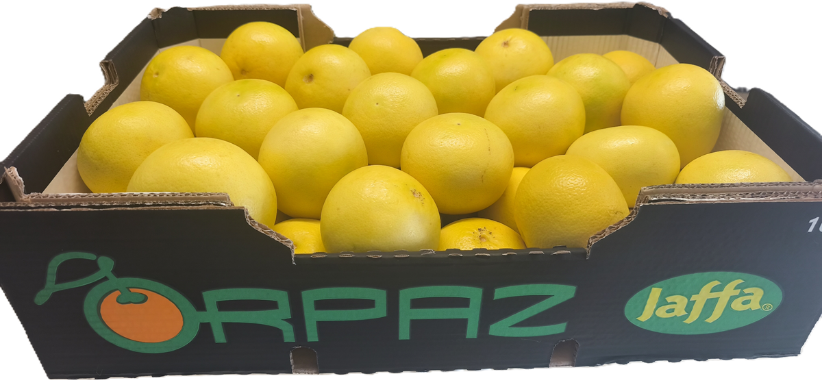 Weiße Grapefruits aus Israel im schwarzen ORPAZ Jaffa Originalkarton, gefüllt mit frischen gelben Zitrusfrüchten