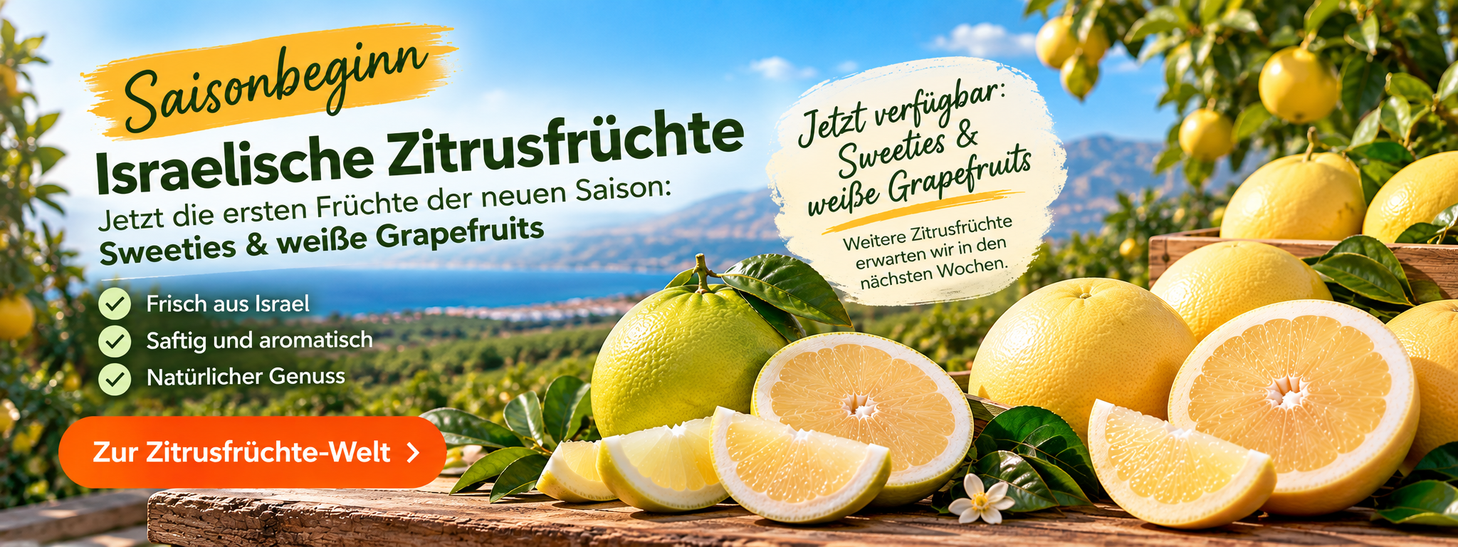 Saisonbeginn für israelische Zitrusfrüchte – frische Jaffa Sweeties und weiße Grapefruits aus Israel jetzt bei Israel Spezialitäten entdecken.