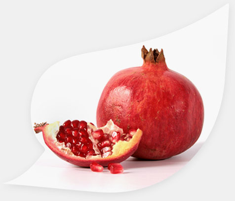1 Israel-Granatapfel Sorte Red/ Emek