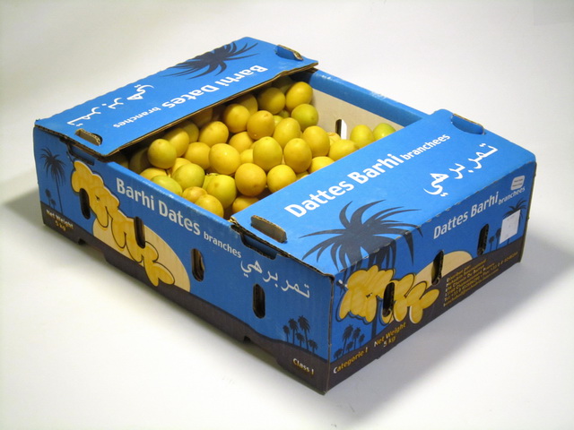 2kg. Israel frische Barhi Datteln