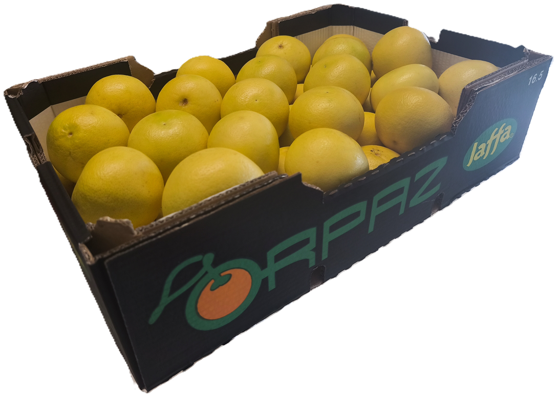 Karton mit weißen Jaffa Grapefruits aus Israel, seitliche Ansicht der ORPAZ Verpackung mit frischen Früchten