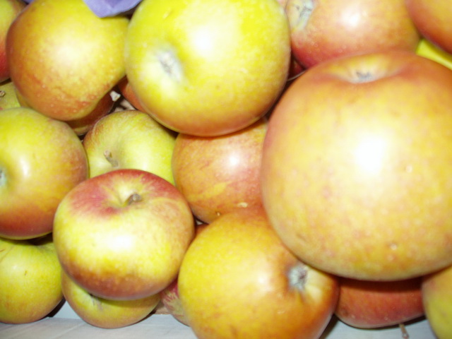 Cox Orange Äpfel, 1kg. von der Streuobstwiese