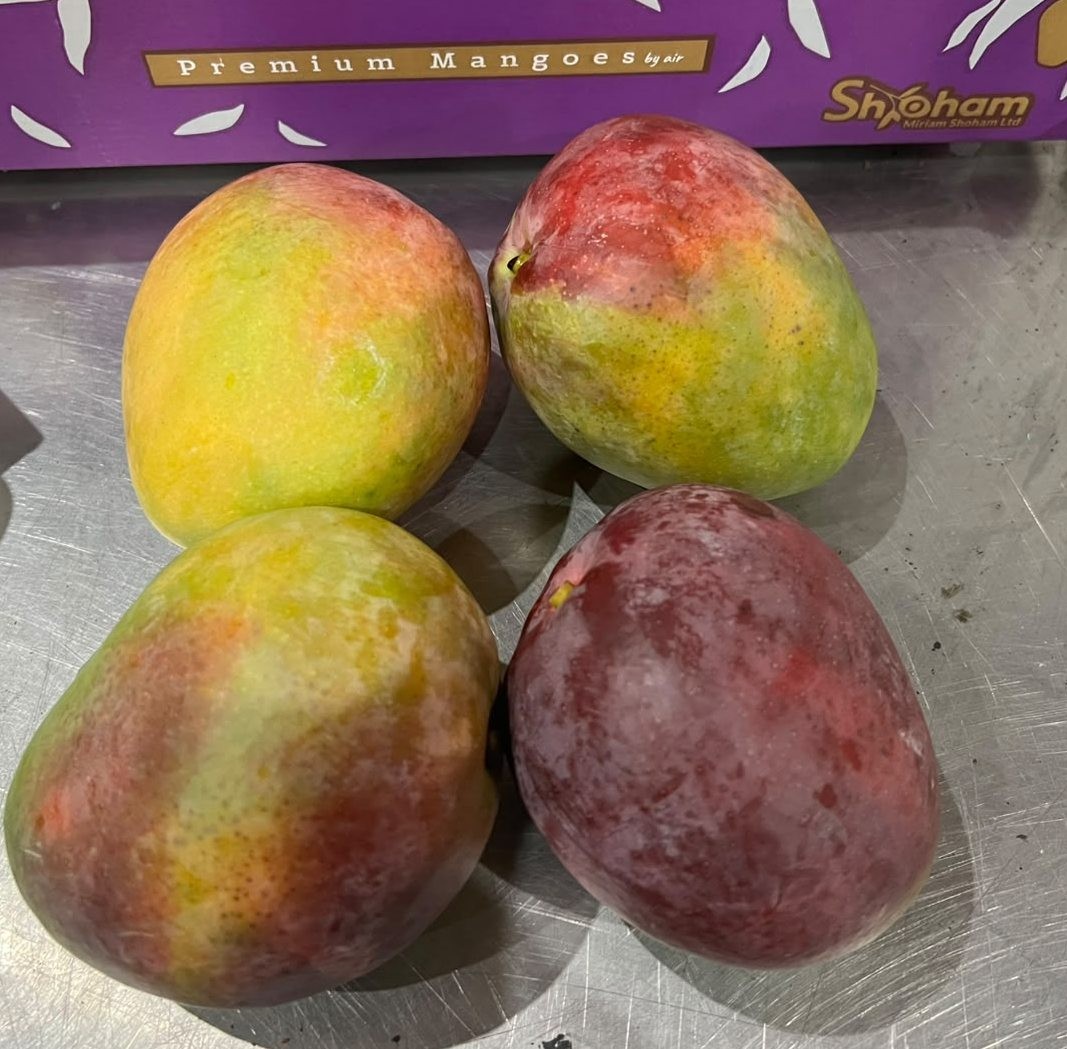 1 Israel Flugmango Sorte Shelly