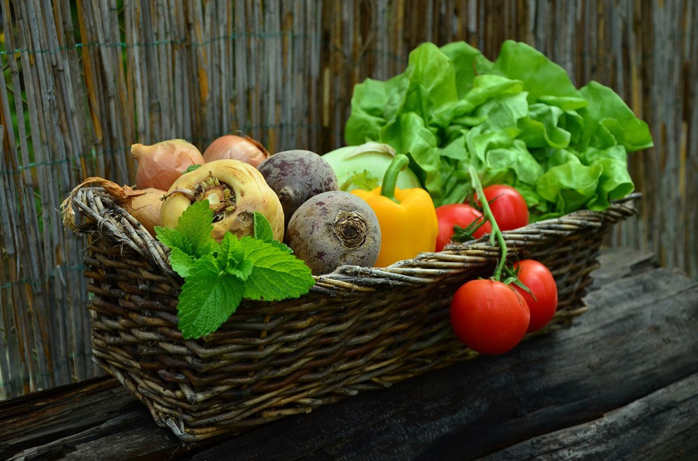 Frisches Gemüse kaufen – saisonales BIO-Gemüse mit Tomaten, Paprika, Zwiebeln und Roter Bete