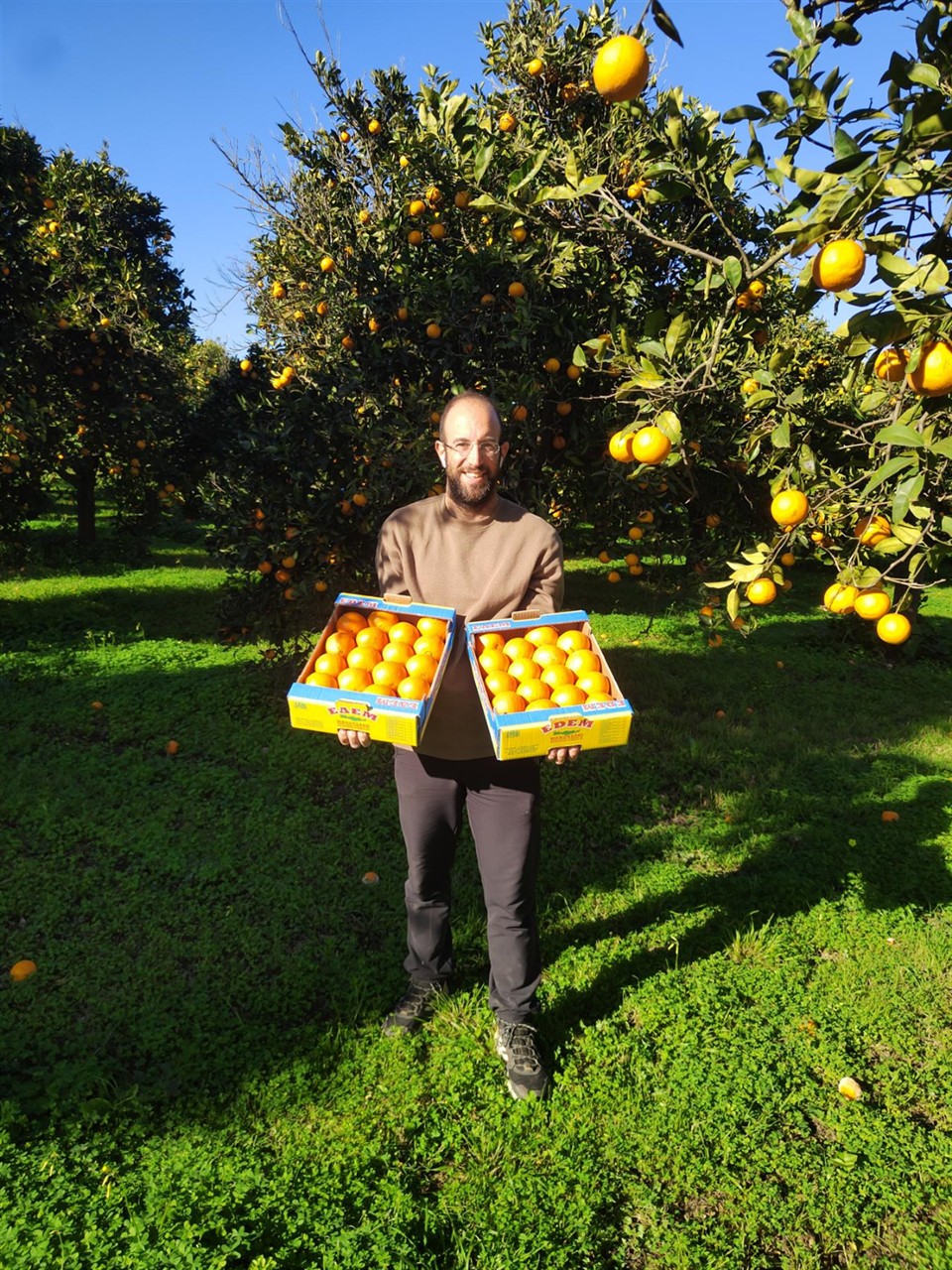 750ml. BIO-Granatapfelsaft, Kreta
