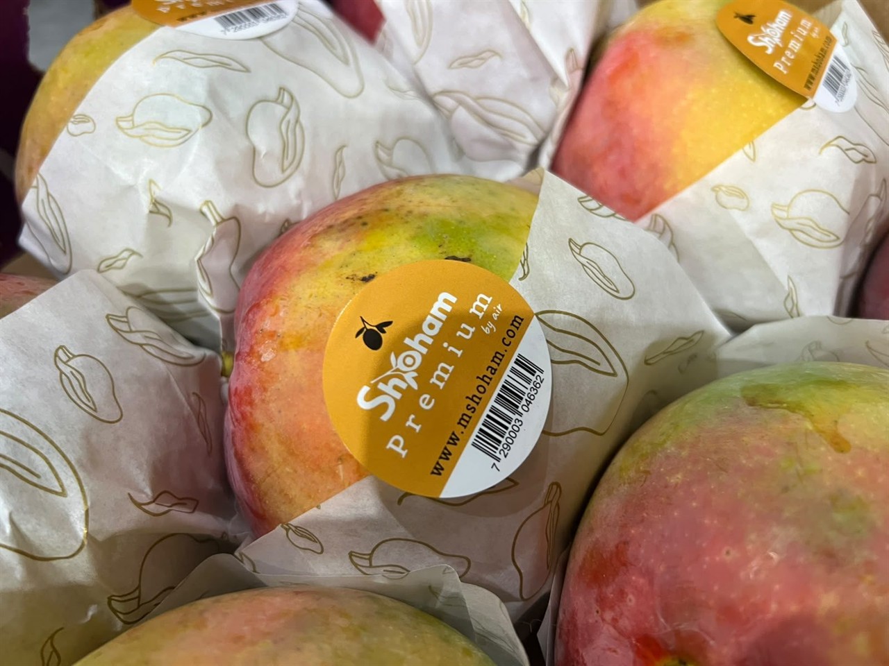 1 Israel Flugmango Sorte Shelly