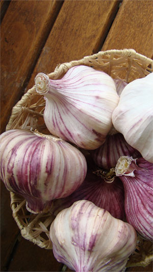 100g. BIO-Knoblauch von der Alb