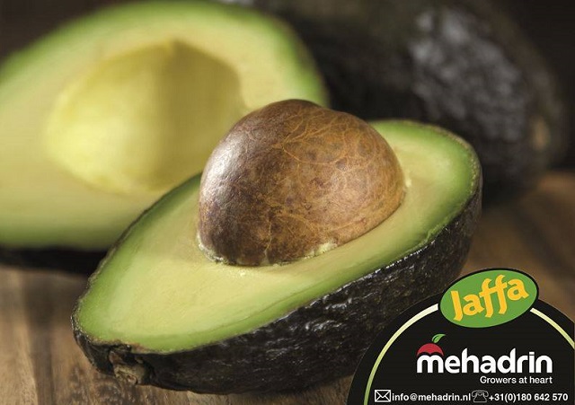 1 Karton Israel Avocados Sorte Hass, 22er