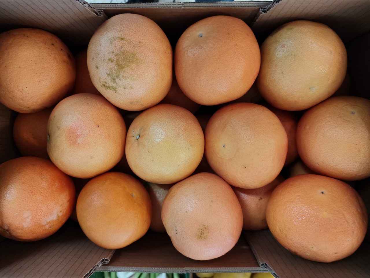 1 BIO-Grapefruit rot, Sizilien