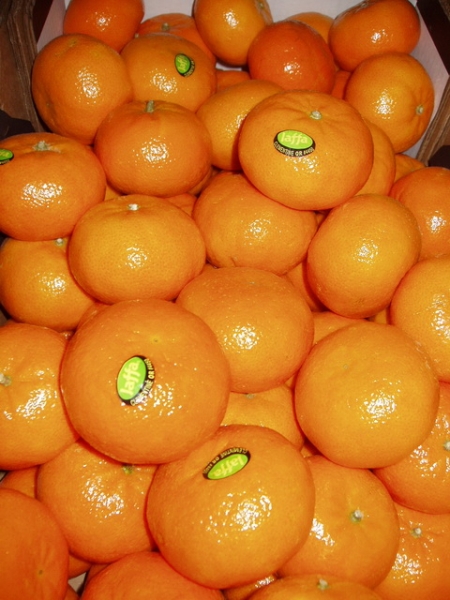clementineorgr.jpg