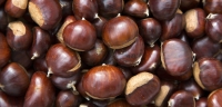 Sweet_chestnuts_Castanea_sativa.jpg
